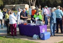 Council reviewing feedback on draft planning scheme