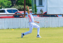 Animals’ bowler a star