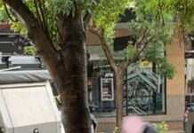 Police blast ‘deplorable’ CBD street brawl