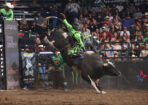 rodeo_516733_02
