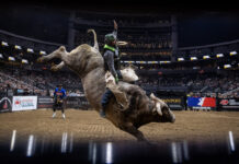 ‘Take the jump’: Warwick bull rider’s advice to young Aussie cowboys