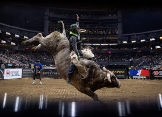 ‘Take the jump’: Warwick bull rider’s advice to young Aussie cowboys