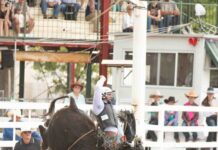 Ring in the New Year at the rodeo