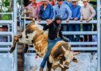 rodeo_526090_01