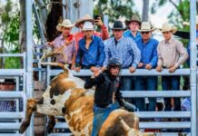 New year’s rodeo set for action