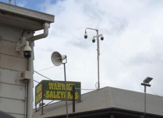 Sheep and lamb prices firm