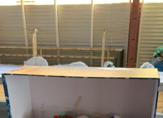 Ingenious Sheep competition returns to Stanthorpe Show