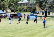 Carnival atmosphere to weekend cricket