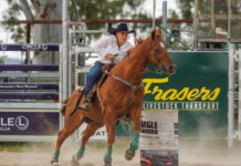 GALLERY: All the action from the Warwick New Year’s Eve Rodeo
