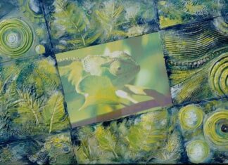 Artworks to host special fundraising exhibition for Stanthorpe’s late Bruce Ward