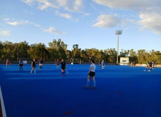 Hitting the hockey fields again