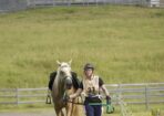 0602STIRL_530812_16