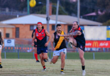 New leadership group for Redbacks