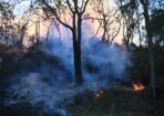fires_533678_02