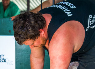 Warwick Show returns for 2026