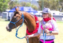 Pink Ride tackles cancer fight