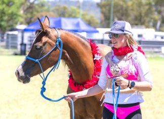 Pink Ride tackles cancer fight