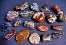 Warwick’s Rock Swap is back