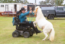 Warwick Show to host disability day
