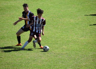 Wolves continue to improve