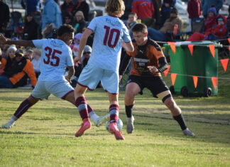 Football Stanthorpe back on the paddock
