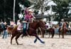 Champion cowboys inbound as Stanthorpe Rodeo goes pro