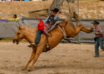 stanrodeo_541341_01-1