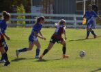 stanthorpe_544297_02