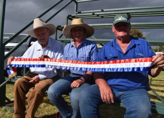 GALLERY: 2026 Warwick Show in pictures
