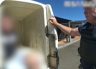 Man in custody after pre-dawn home invasion