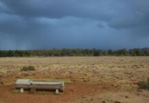 Fears region headed for drought as dry spell bites