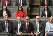 Labor: The budget we had to have