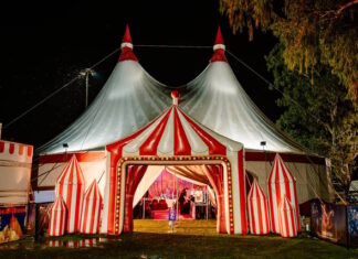 Wars, pandemics, and inflation: Ashton’s Great Australian Circus rolls on