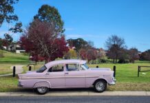 Vintage holdens headed for Stanthorpe