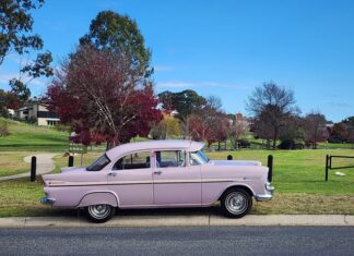 Vintage holdens headed for Stanthorpe