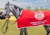 Double delight sends Hardy to final