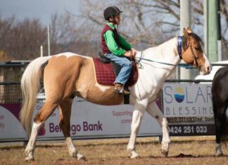 Big turn out for Pony Club events