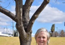 Stanthorpe voice to lead global women’s group