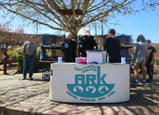 Volunteers power animal rescue efforts