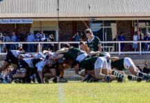 Water Rats cruise to victory over Cods