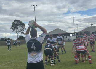 Frillnecks too strong for hometown Water Rats